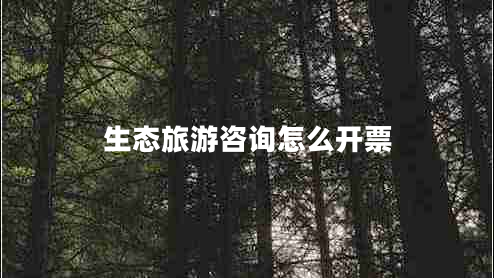 生態(tài)旅游咨詢(xún)怎么開(kāi)票