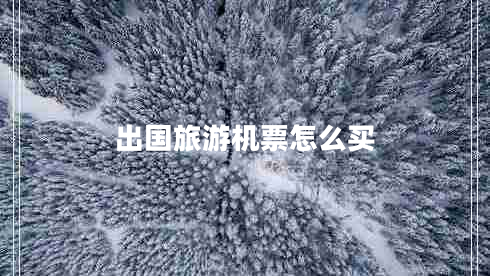 出國旅游機(jī)票怎么買