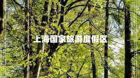 上海國家旅游度假區