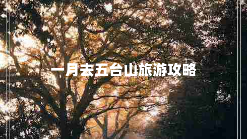 一月去五臺山旅游攻略