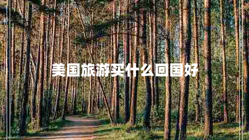 美國旅游買(mǎi)什么回國好