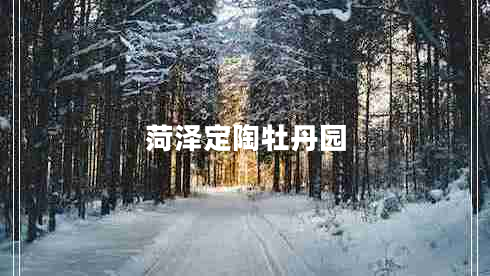 菏澤定陶牡丹園