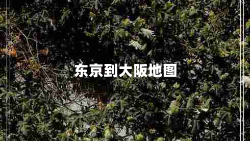 東京到大阪地圖