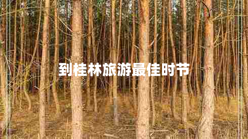 到桂林旅游最佳時(shí)節(jié)