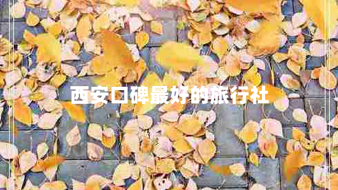 西安口碑最好的旅行社