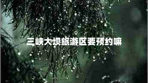 三峽大壩旅游區(qū)要預(yù)約嘛 三峽大壩旅游區(qū)要預(yù)約嘛