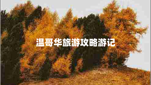 溫哥華旅游攻略游記