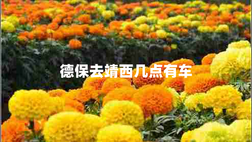 德保去靖西幾點(diǎn)有車(chē)