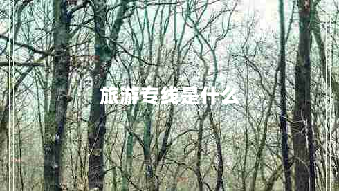 旅游專線是什么