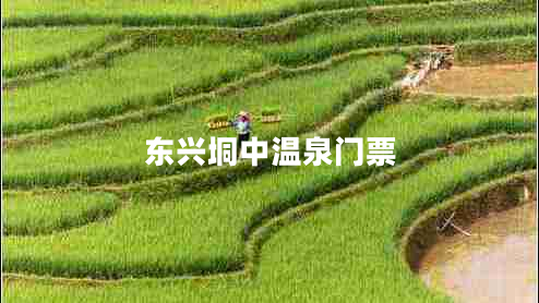 東興垌中溫泉門(mén)票