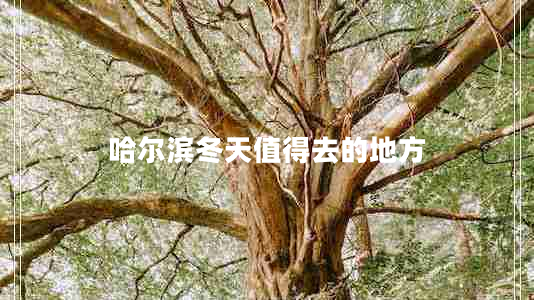 哈爾濱冬天值得去的地方