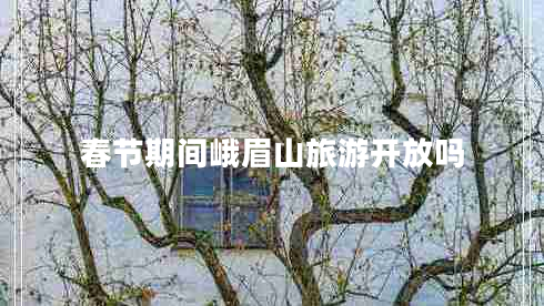春節(jié)期間峨眉山旅游開放嗎