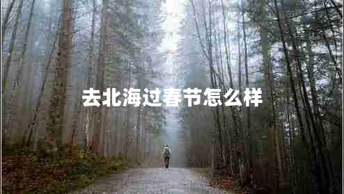 去北海過(guò)春節怎么樣