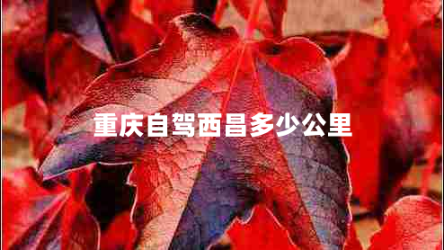 重慶自駕西昌多少公里