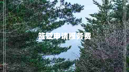 簽證申請服務(wù)費