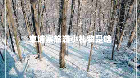 柬埔寨旅游小禮物是啥