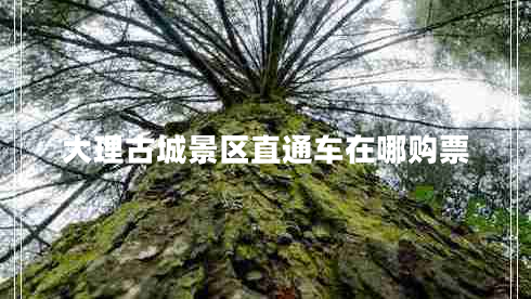 大理古城景區直通車(chē)在哪購票