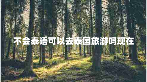 不會(huì )泰語(yǔ)可以去泰國旅游嗎現在