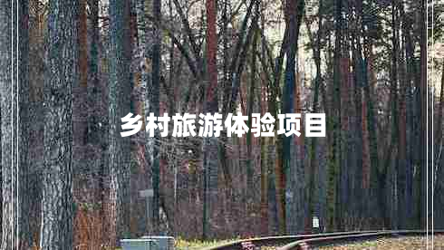 鄉村旅游體驗項目