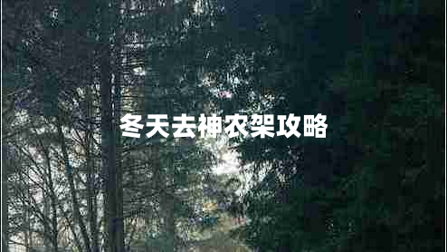 冬天去神農架攻略