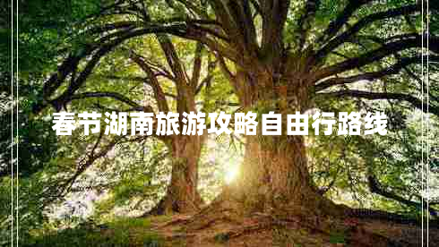 春節湖南旅游攻略自由行路線(xiàn)