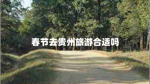 春節去貴州旅游合適嗎