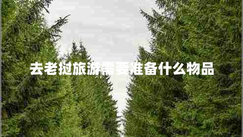 去老撾旅游需要準備什么物品