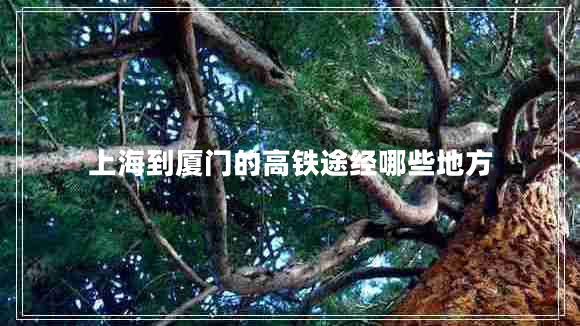 上海到廈門(mén)的高鐵途經(jīng)哪些地方
