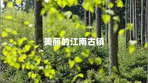 美麗的江南古鎮