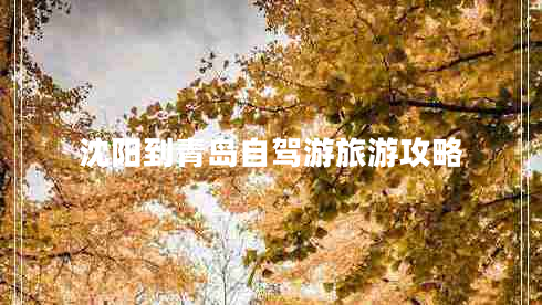 沈陽到青島自駕游旅游攻略 沈陽到青島自駕游旅游攻略