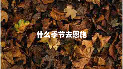 什么季節去恩施