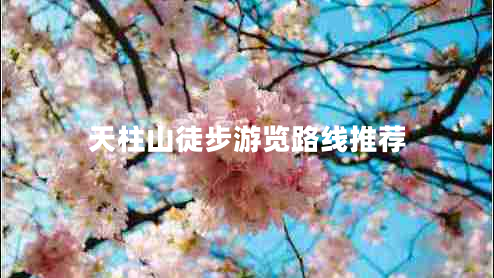 天柱山徒步游覽路線(xiàn)推薦