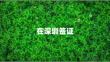 在深圳簽證
