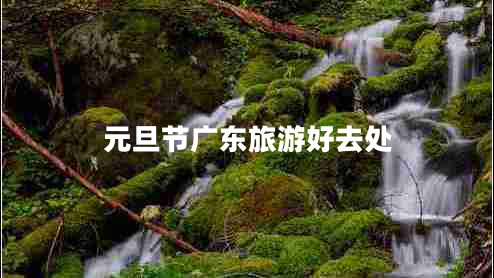 元旦節廣東旅游好去處