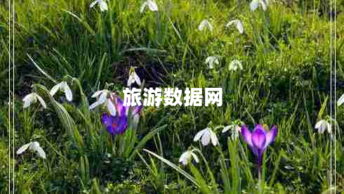 旅游數(shù)據(jù)網(wǎng) 旅游數(shù)據(jù)網(wǎng)
