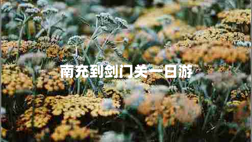 南充到劍門(mén)關(guān)一日游