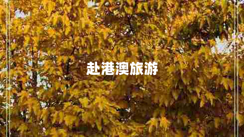 赴港澳旅游 赴港澳旅游