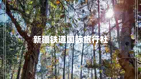 新疆鐵道國際旅行社