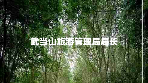 武當山旅游管理局局長