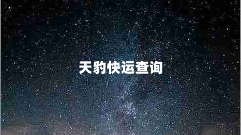 天豹快運查詢