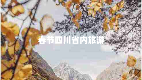春節四川省內旅游