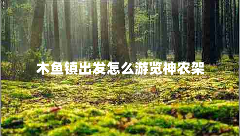 木魚(yú)鎮出發(fā)怎么游覽神農架