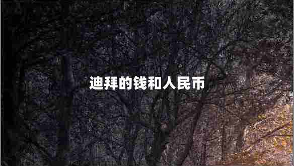 迪拜的錢(qián)和人民幣