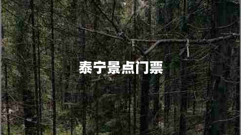 泰寧景點(diǎn)門票