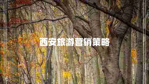 西安旅游營(yíng)銷(xiāo)策略