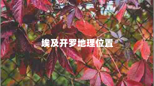 埃及開(kāi)羅地理位置