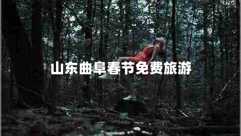 山東曲阜春節(jié)免費旅游