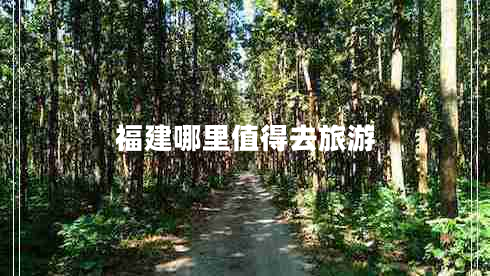 福建哪里值得去旅游