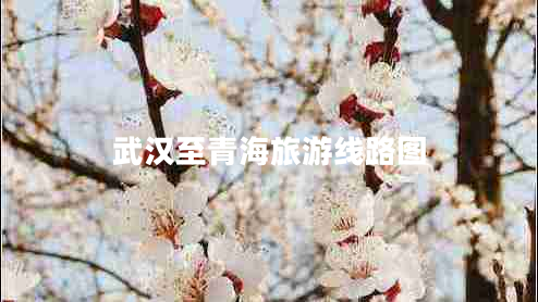 武漢至青海旅游線(xiàn)路圖
