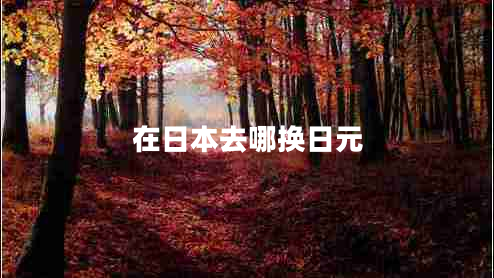 在日本去哪換日元 在日本去哪換日元
